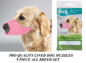 pink dog muzzle