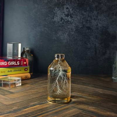 Lightning in a Bottle Lichtenberg Figure Acrylic Sculpture Rare Unique Gift