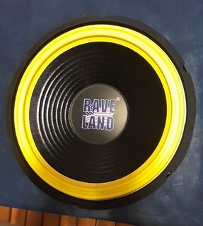Subwoofer Raveland 12" 30 cm unbenutzt 2x100 /250 Watts Rms in OVP