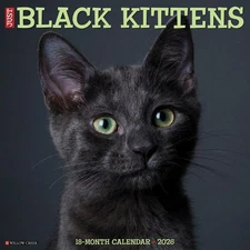 Willow Creek Press,  Black Kitties 2026 Wall Calendar, 12'' X 12'', 18-Month Cal