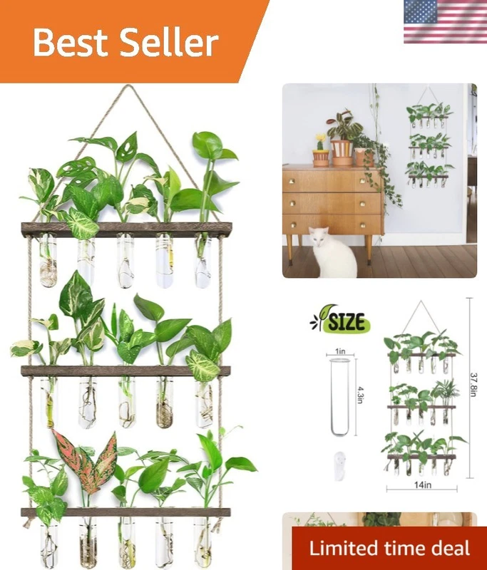 Wall Hanging Propagation Station Wooden Stand Glass Tubes