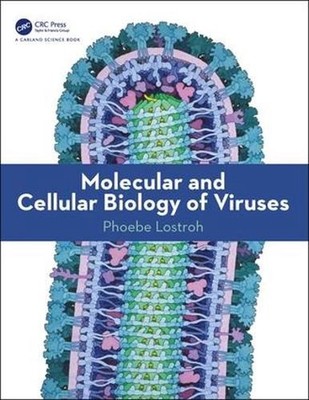 Molecular and Cellular Biology of Viruses by Phoebe Lostroh (English) Paperback