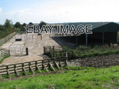 PHOTO  THE LIVESTOCK COLLECTION PENS AT THE RIBBLE MARSHES N.N.R. THE SALTMARSH