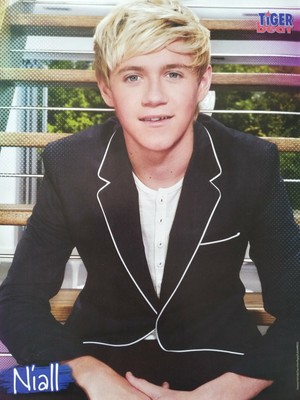 NIALL HORAN - A4 Poster (ca. 20 x 27 cm) - One Direction Clippings Ausland USA