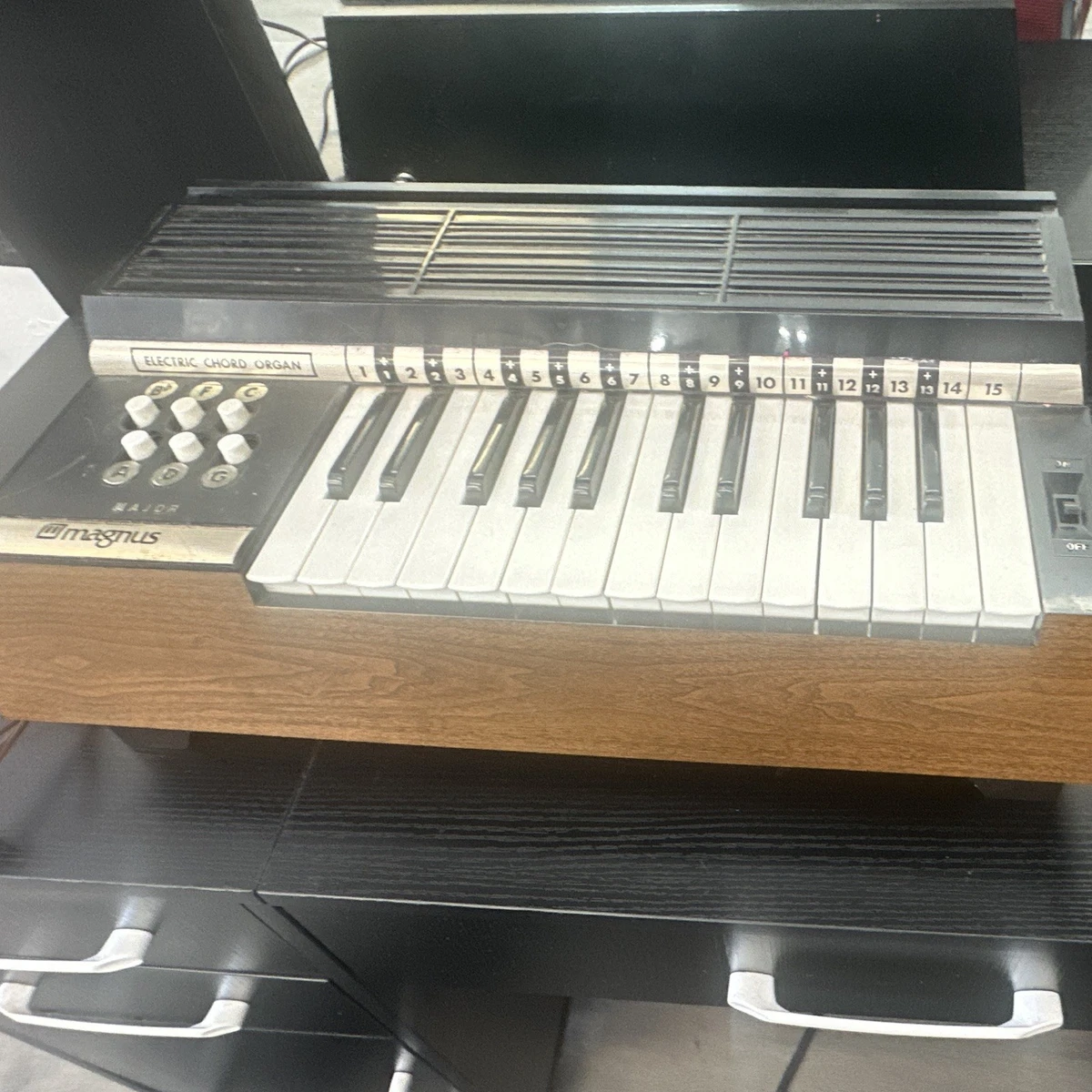 Chord Organ Organs for sale | eBay