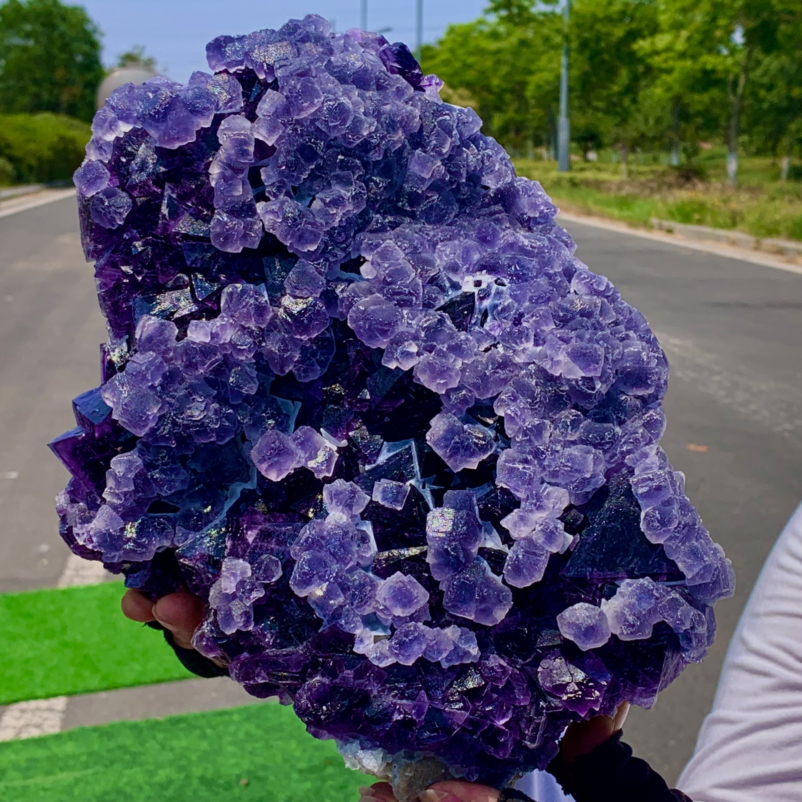 14.08LB Natural Purple Cubic Fluorite Crystal Specimen from China