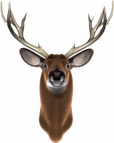 Deer buck hunting vinyl graphic decal sticker - Picture 1 of 1
