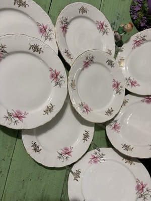 Bohemian China Czechoslovakia Pink Daffodis / Orchids Salad / Pie Plates 8
