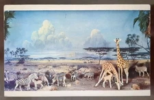 African Watering Hole (Mini Diorama), Museum of Science, Boston, MA - Mid 1900s