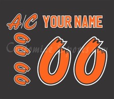 Medicine Hat Tigers Customized Number Kit For 1999-2003 Away Uniform