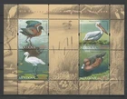 Moldova 2011 Water Birds, Ducks, Pelicans MNH sheet