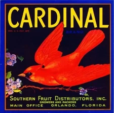 Cardinal Brand Orange Orlando Florida Citrus Fruit Crate Label Vintage Art Print