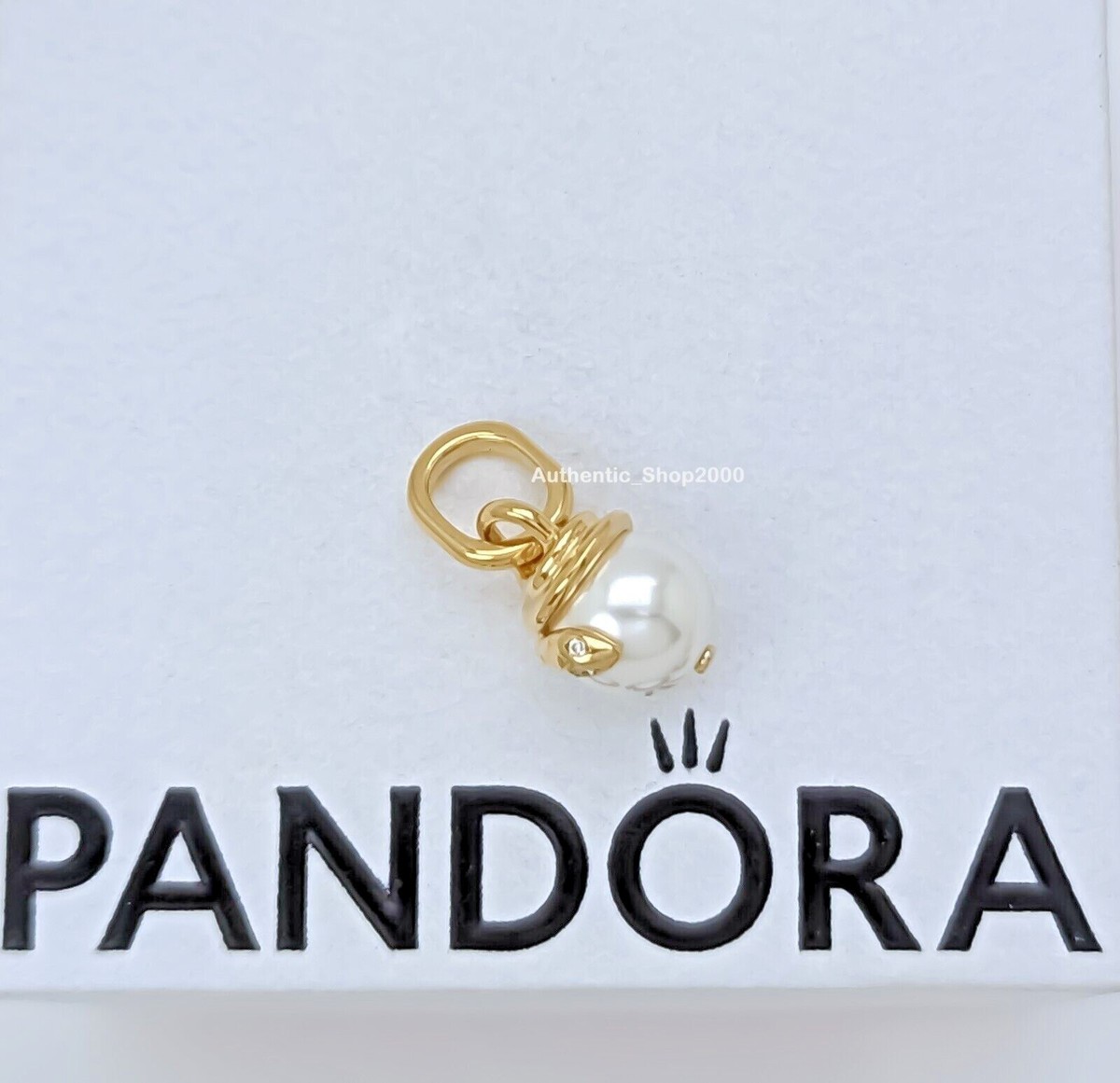 Mini Dangle Charm Pandora Small Charms For Locket New 100