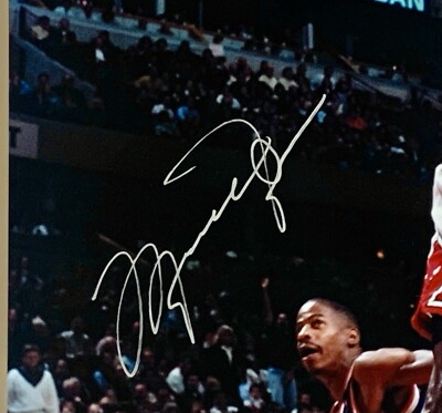 Michael Jordan signed Photo 20x30 inch Chicago Bulls very rare