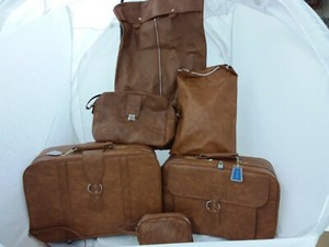 tan carry on luggage