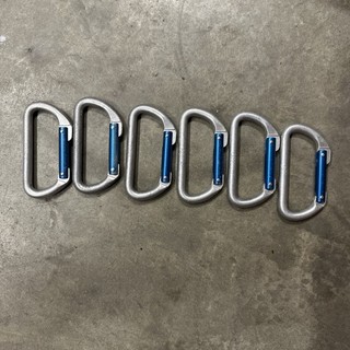 6 REI Mountain Climbing D Carabiners 23k (B)