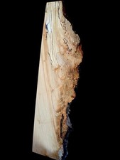 XL MIND BLOWING SPALTED Birdseye Maple Burlwo...