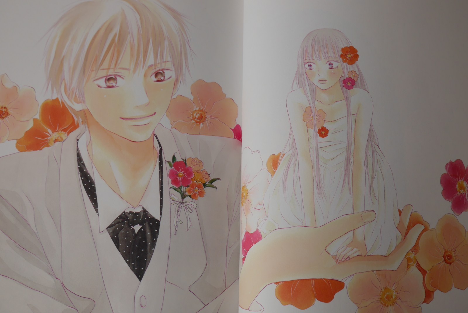 Japan Karuho Shiina Kimi Ni Todoke 06 18 Art Book High School Days Ebay