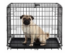Dog Crate 24 Inch Small Wire Kennel Metal Cages
