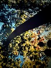 Bild 2 von 9