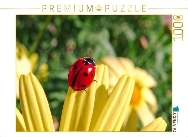 Calvendo Puzzle MarienkäFer | 1000 Teile Lege-GrößE 64X48Cm Foto-Puzzle FüR GlüC-image