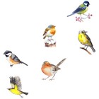 6pcs Alert Bird Window Decal Static Window Clings Removable Window Decals