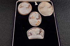 (Import Duty Support) 4 items , vintage shell cameo  (Total 160.0ct)  and case.