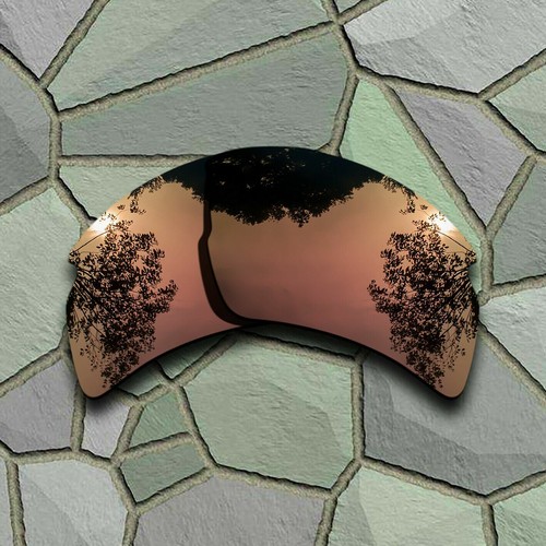 Reemplazo de lentes polarizadas para las variedades Oakley Flak 2.0 XL - Imagen 14 de 17