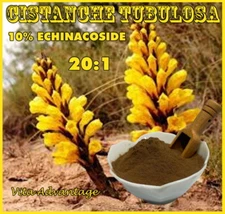 ORGANIC CISTANCHE TUBULOSA EXTRACT POWDER 20:1 10% ECHINACOSIDE 1LB