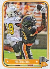 2024 Onyx Authenticated Vintage Football, Holden Staes, Tennessee 