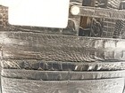 Picture 5 of 15