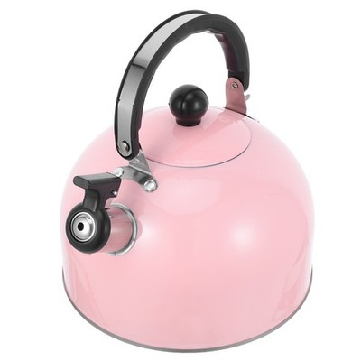 Stove Top Tea Kettle Whistling Teapot for Stovetop Coffee Stainless
