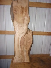 1 PC SPALTED RUSTIC MAPLE SLAB BOARD KILN DRIED LUMBER 3/4" THICK F119F WOOD