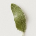 Foto 6 di 7