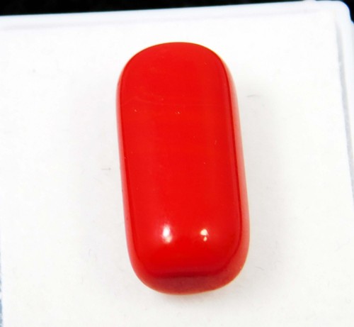 7.70 Cts Natural Italine Red Coral Cabochon Oval Cut 173.x7.7 Mm Loose Gemstone - Picture 6 of 6