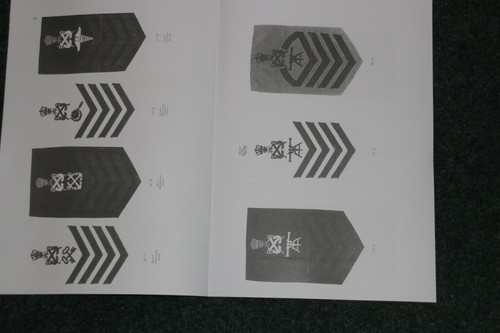 COPIA DE INSIGNIAS E INSIGNIA DISTINTIVA LIBRO DE LAS FUERZAS NAVALES DE LA MARINA SAUDÍ - Imagen 4 de 4