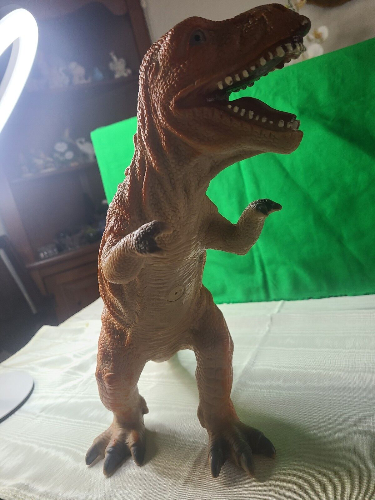 Picture 8 of 13