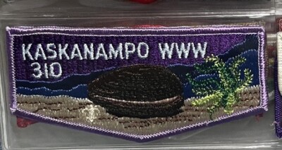 LASKANAMPO LODGE 310 S13? ORDER OF THE ARROW FLAP OA BSA BOY SCOUT