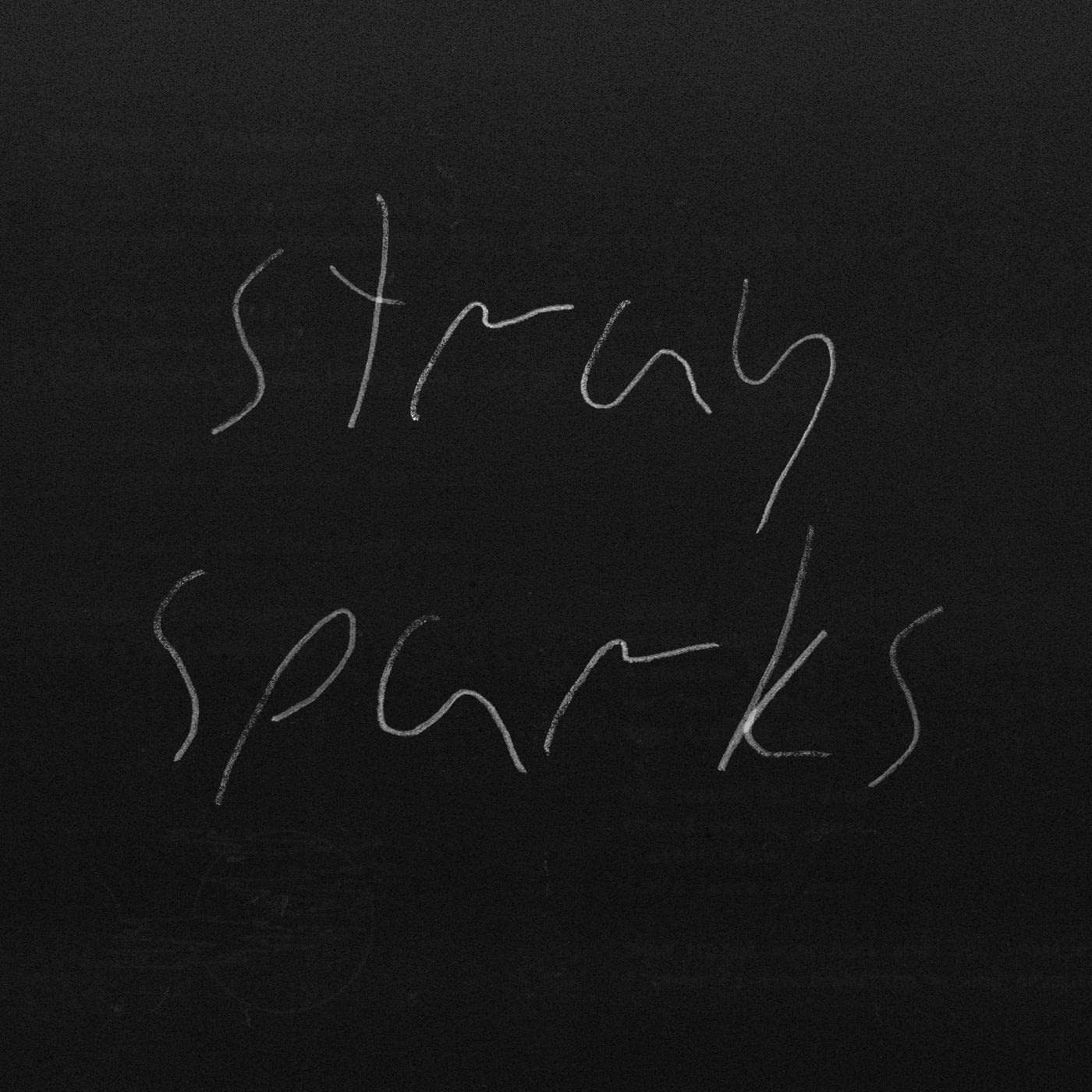 The Goodbye Party Stray Sparks (Cassette)