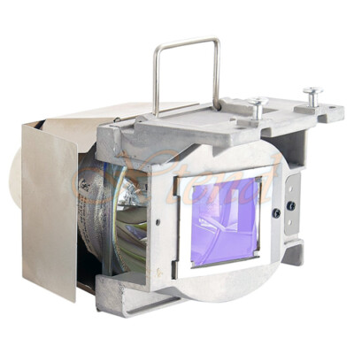 Original bulb inside Projector Lamp Module for VIEWSONIC VS15916