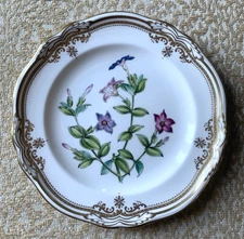 Spode "Stafford Flowers" Bread Plate-Y8519-L Tachiadenus-Mint!
