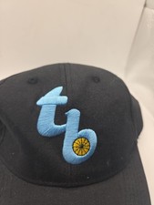 Tampa Bay Rays Fan Black Hat Adjustable Adult Size Black TB Hat Baseball Cap