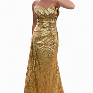 Gold Sequin Sweetheart Sleeveless Sheath Full-Length Wedding Dress