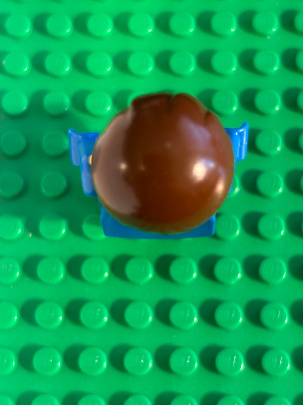 Picture 5 of 5