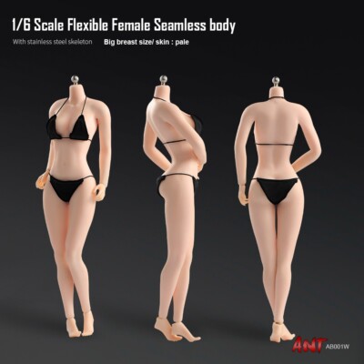 1/6 Female Mid Bust Pale Super Flexible Seamless Body For 12" Action Figure Doll | eBay 1/6 Female Mid Bust Pale Super Flexible Seamless Body For 12" Action Figure Doll | eBay