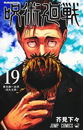 Jujutsu Kaisen Jump Comics Vol.19 Limited Edition with Goods Photo from Japan