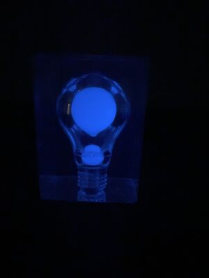 Vintage Pierre Giraudon glow in the dark Light Bulb Sculpture paperweight