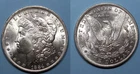 ONE CENT START 1884-O MORGAN DOLLAR FR0STY SELECT UNC #111-4