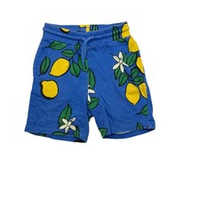 Mini Rodini Blue Lemon Shorts