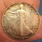 1987 Walking Liberty Silver Dollar 1oz Fine Silver Beautiful Tone Coin